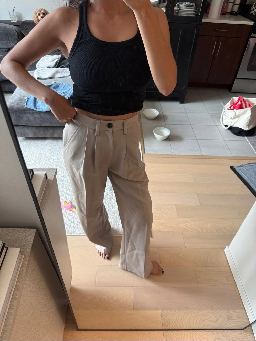 Anine Bing Cream & Green Wide-Leg High-Waist Trousers